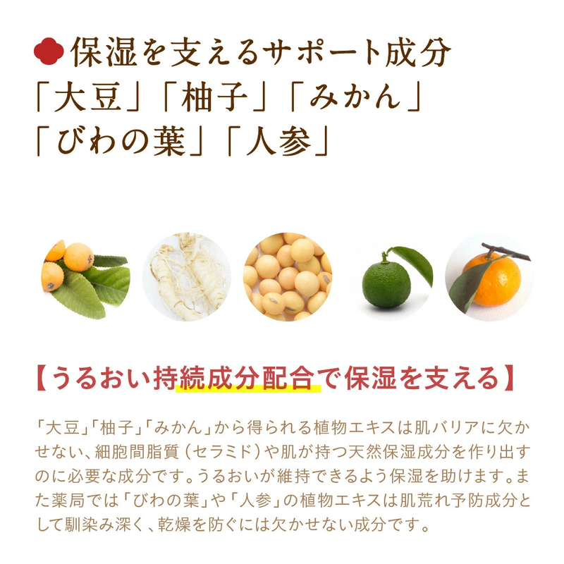 ＜てんまん香粧薬房＞日本食コスメ てんまん 化粧水 120mL